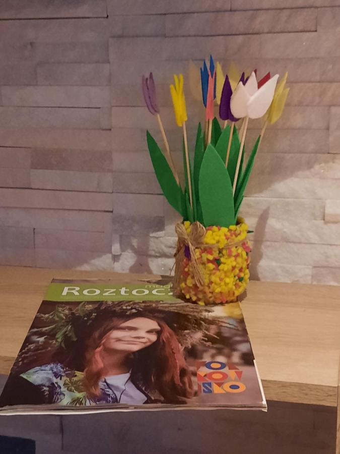Apartament Jak w Domu Zamość Exteriér fotografie
