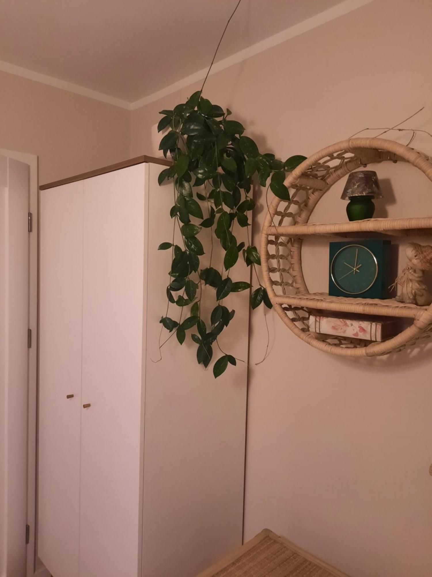 Apartament Jak w Domu Zamość Exteriér fotografie