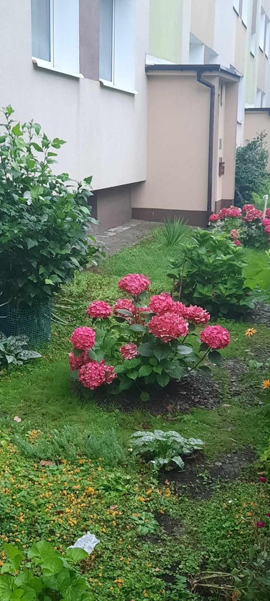 Apartament Jak w Domu Zamość Exteriér fotografie